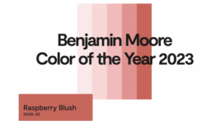 Benjamin Moore 2023 colourmix forecast